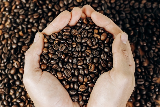 A lot of coffee beans on a wooden background. man holds coffee in the palms