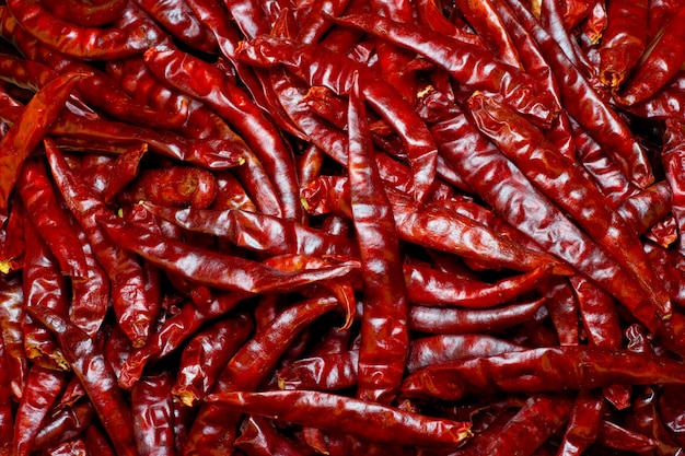 Lot of dried chili as a food background