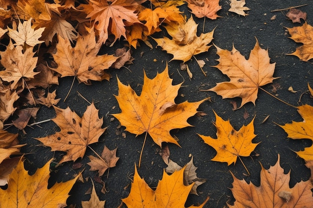 Photo a lot of dry autumn maple leaves fallen on the ground