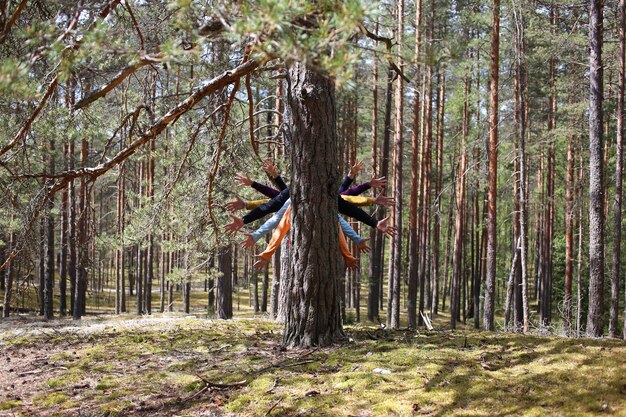 A lot of hands stick out from behind the tree. Symmetry