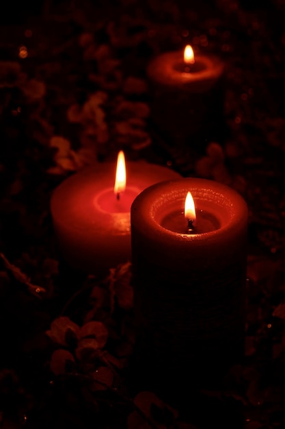 A lot of magic purple and red colours candles burn on the black background with flowers.