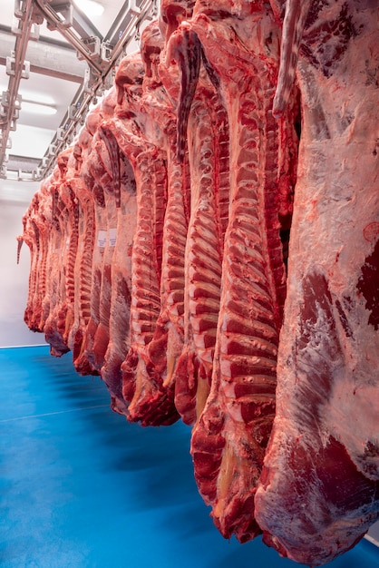 Photo a lot of raw meat hanging and arrange in a row in a meat factory