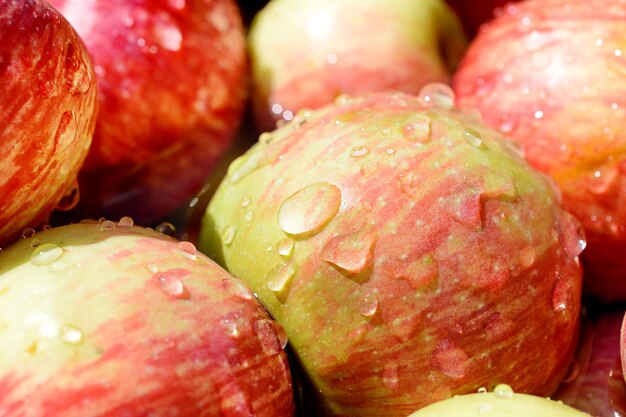 Lot of red ripe apples covered with transparent water droplets