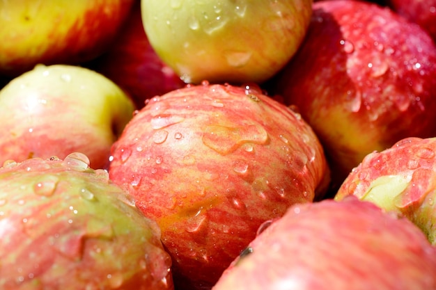 Lot of red ripe apples covered with transparent water droplets