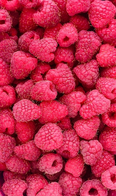 A lot of ripe raspberries close up food background