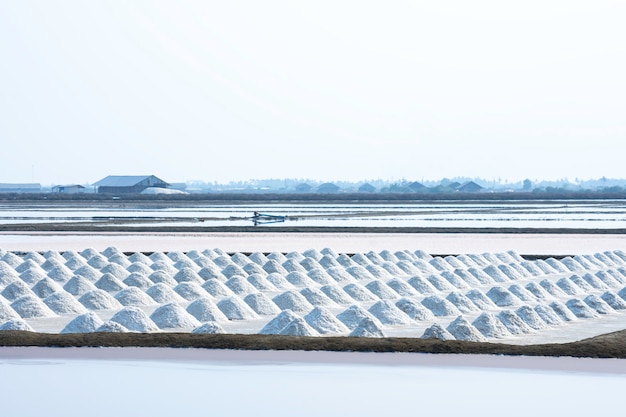 A lot of salt in the salt field at Samut sakhon , Thailand