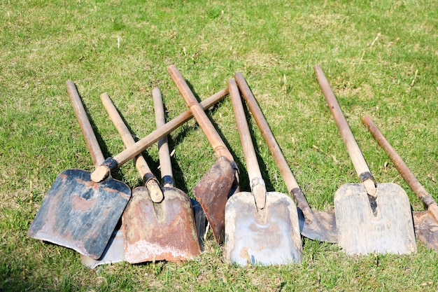 A lot of shovels household equipment for cleaning arrangement of territory digging of the earth