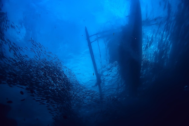 lot of small fish in the sea under water / fish colony, fishing, ocean wildlife scene