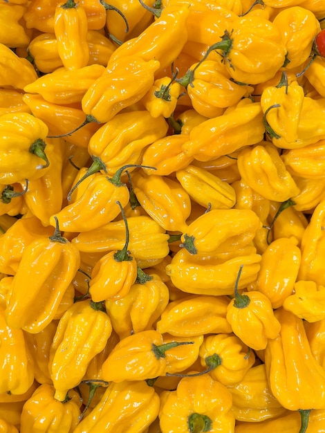 A lot of yellow habanero chili seen up close