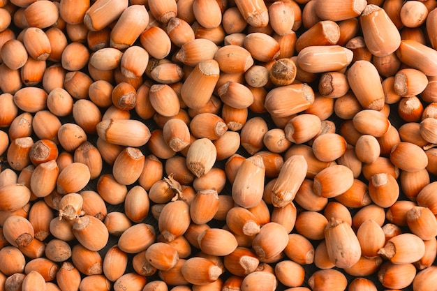 Lots of dry hazelnuts on the table. View from above