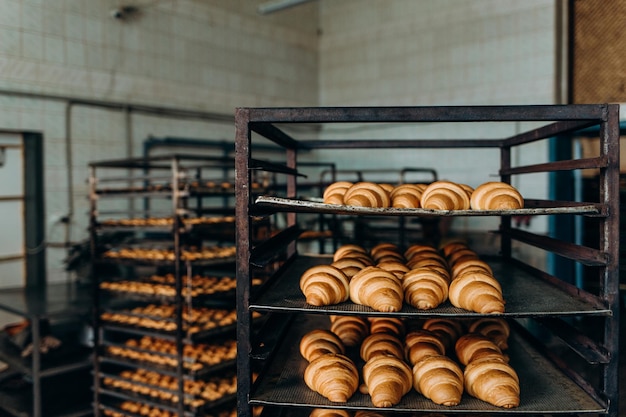 Lots of fresh croissants on the store shelf