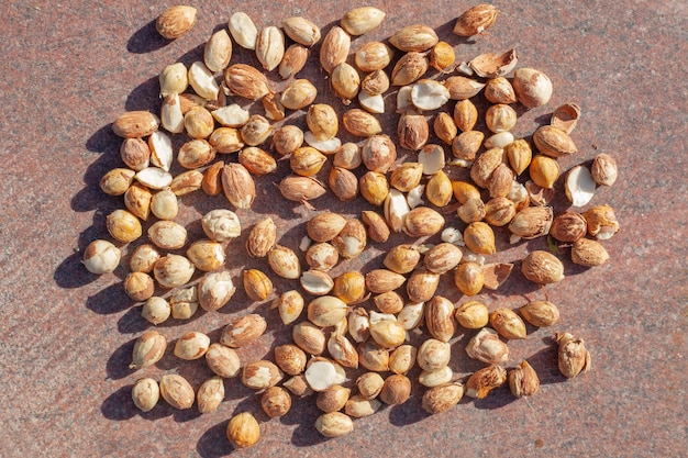 Lots of hazelnuts without shell on a granite background