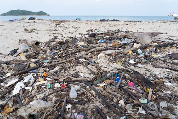 Lots of junk on the beach