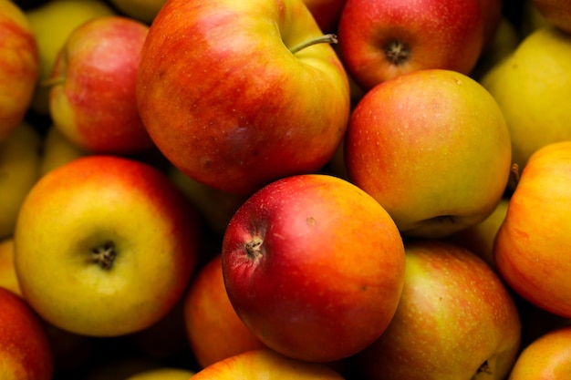 lots of red and green apples A lot of colorful fresh red apples Fresh green and red apples