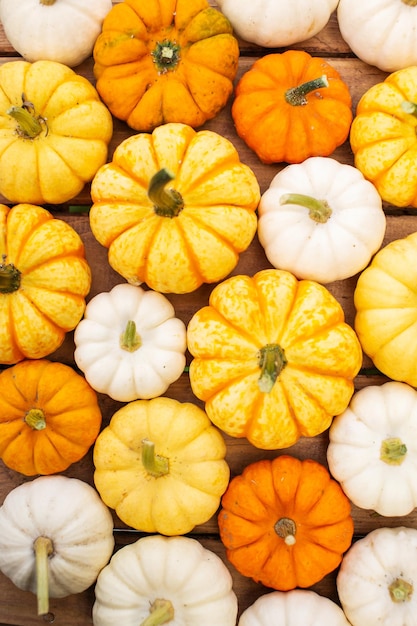 Lots of small decorative pumpkins for the background