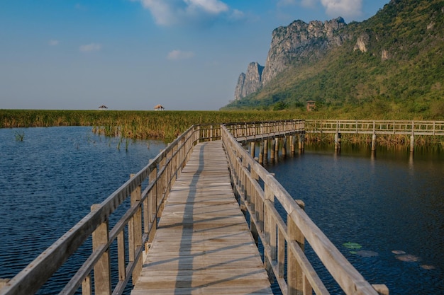 Lotus Lake is a tourist place at sunset Thailand Evening on a wooden walkway in the lake Sam Roi Yod National Park