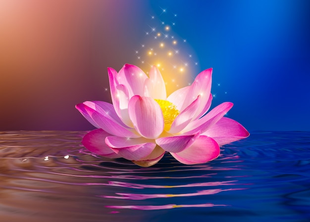 Lotus Pink light purple floating light sparkle purple background