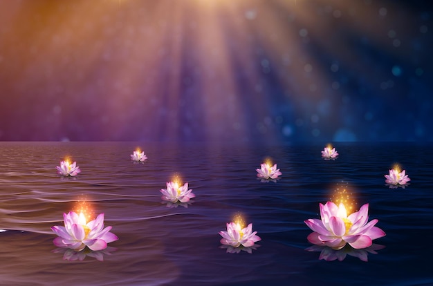 Lotus Pink light purple floating light sparkle purple background