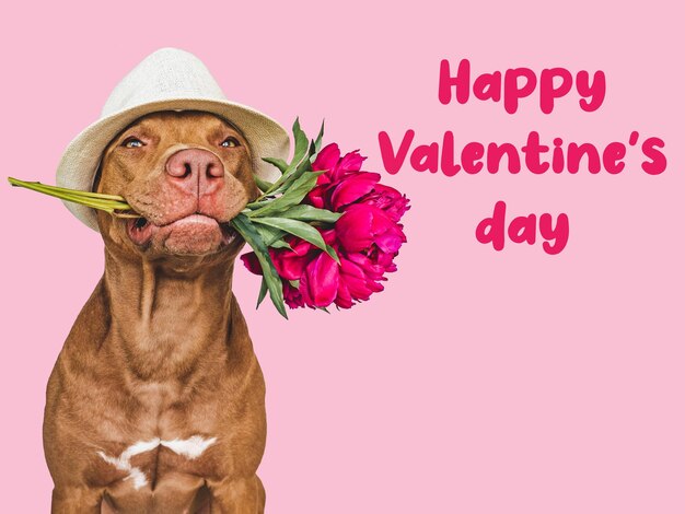 Lovable brown puppy and a bouquet of flowers