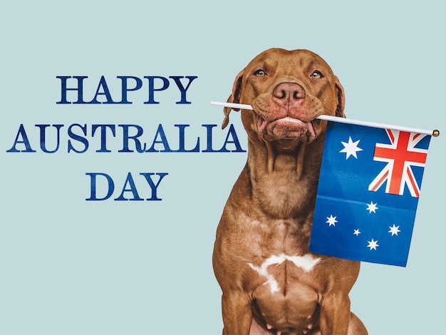 Lovable charming puppy and Australian Flag Closeup