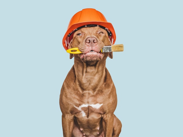 Lovable pretty brown puppy and paintbrush Closeup