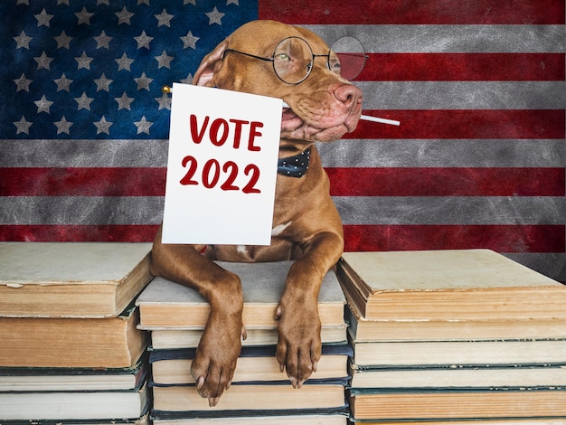 Lovable pretty dog holding an American Flag