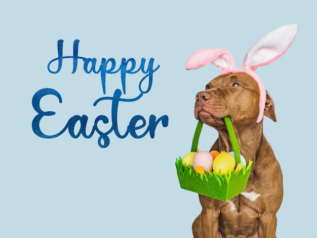 Lovable pretty puppy and a basket of Easter eggs