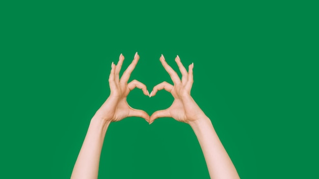 Photo love sign sympathy gesture romantic feeling female hands showing finger heart shape isolated on