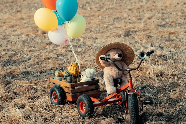 Lovely brown teddy bear on vintage bike in field retro and vintage style teddy bear hiking with bicy