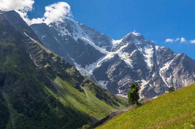 Lovely green valley and snowy tall mountains on the background at sunny day