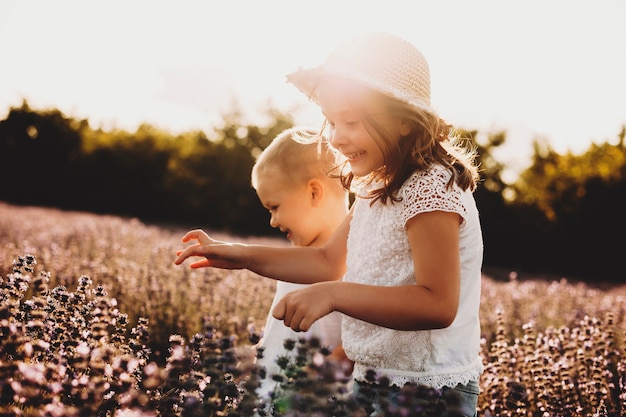 Lovely little girl laughing while running in a field of flowers with her brother. Small kid playing with his sister outdoor against sunset.