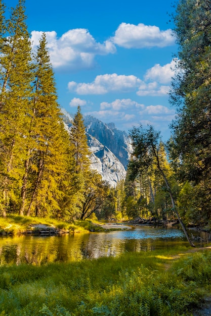 Lovely walk to walk in Yosemite valley California United States