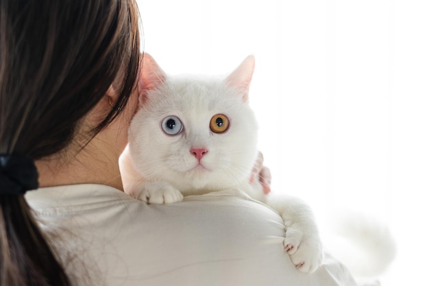 lovely white cat image with two color eyes at home