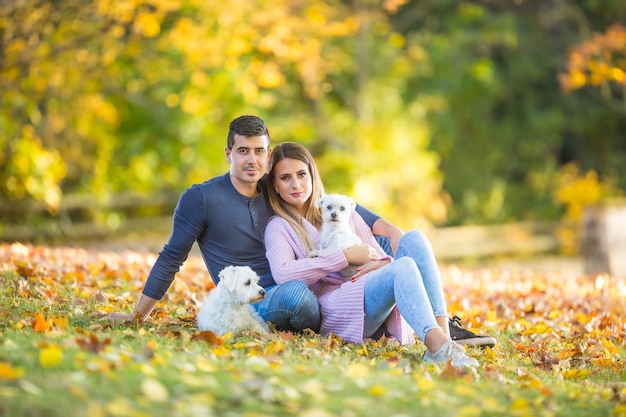 A loving couple with dogs in an autumn park lies on the leaves.