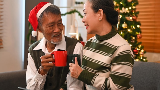 Loving senior couple enjoy drinking hot chocolate together on couch in Christmas holidays