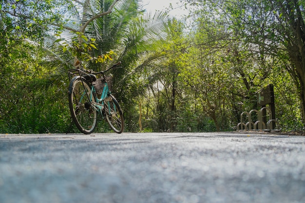 Low angle view of a bike parking on an empty road surrounded by lush green foliage in tropical forest in summer.