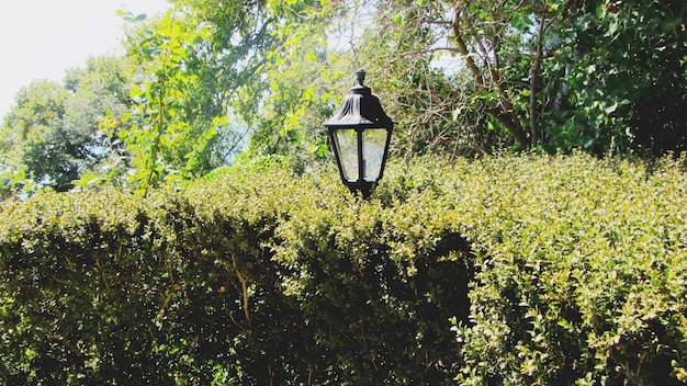 Low angle view of bird on birdhouse against trees