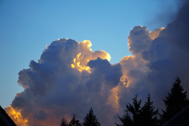 Photo low angle view of cloudy sky