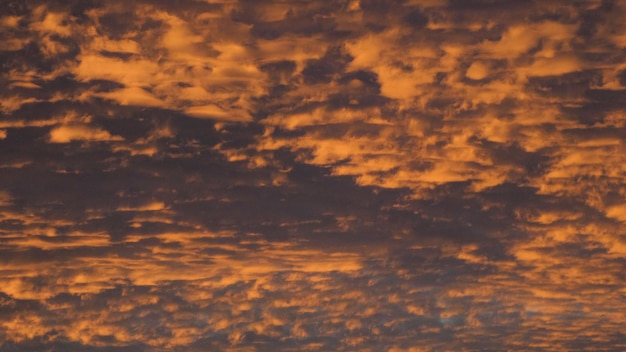 Photo low angle view of dramatic sky during sunset