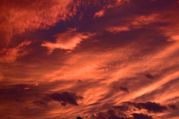 Photo low angle view of dramatic sky during sunset