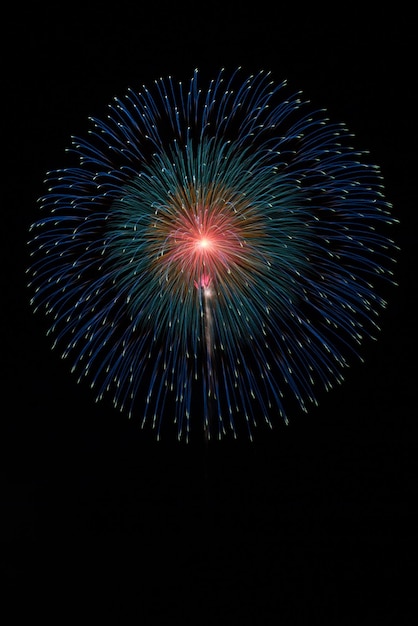 Low angle view of firework display against sky at night