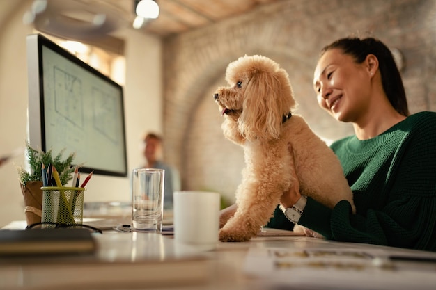 Low angle view of happy Asian businesswoman with her poodle working in the office Focus is on dog