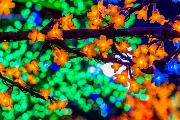 Photo low angle view of illuminated string lights