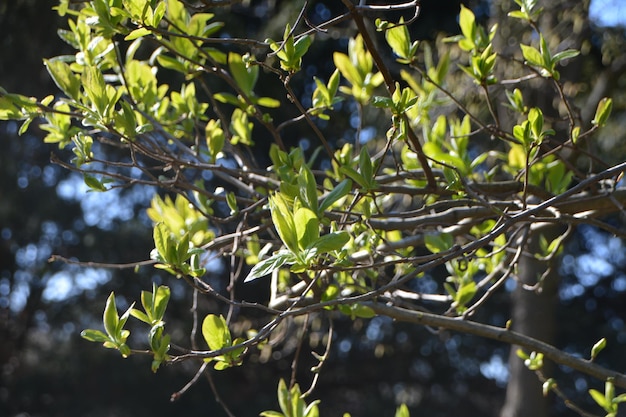 Low angle view of plants