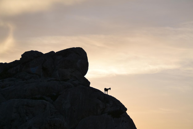 Photo low angle view of rock formation against sky