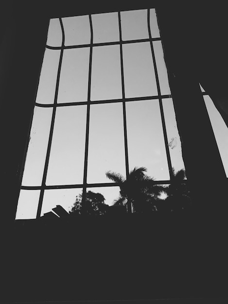 Photo low angle view of silhouette palm trees against clear sky