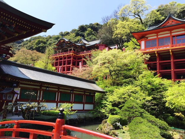 Low angle view of temples by trees against sky