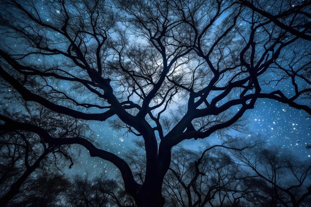 Low angle view of trees against sky at night