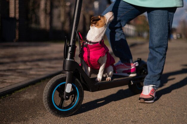 Photo low section of man riding push scooter on road