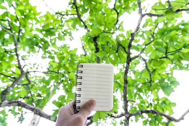 Photo low section of person holding umbrella against trees